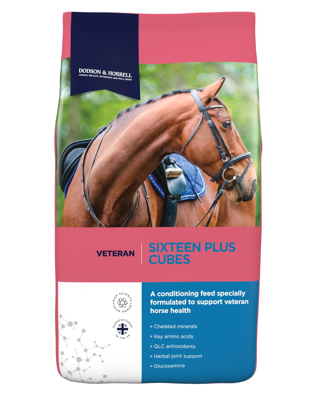 Dodson & Horrell Sixteen Plus Cubes veteran horse feed, 20kg bag
