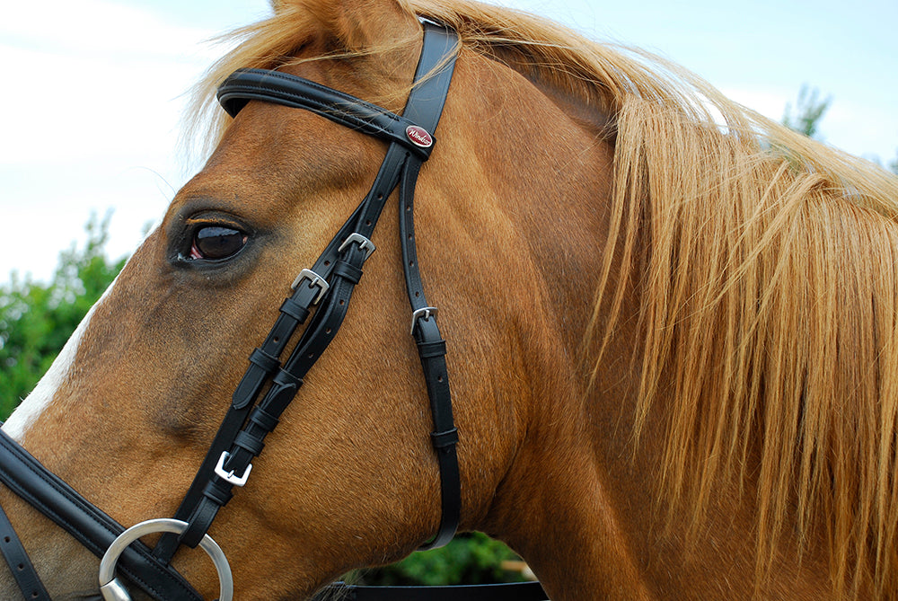 Snowhill Windsor Leather Flash Bridle – Pony, Havana, with Rubber-Covered Reins