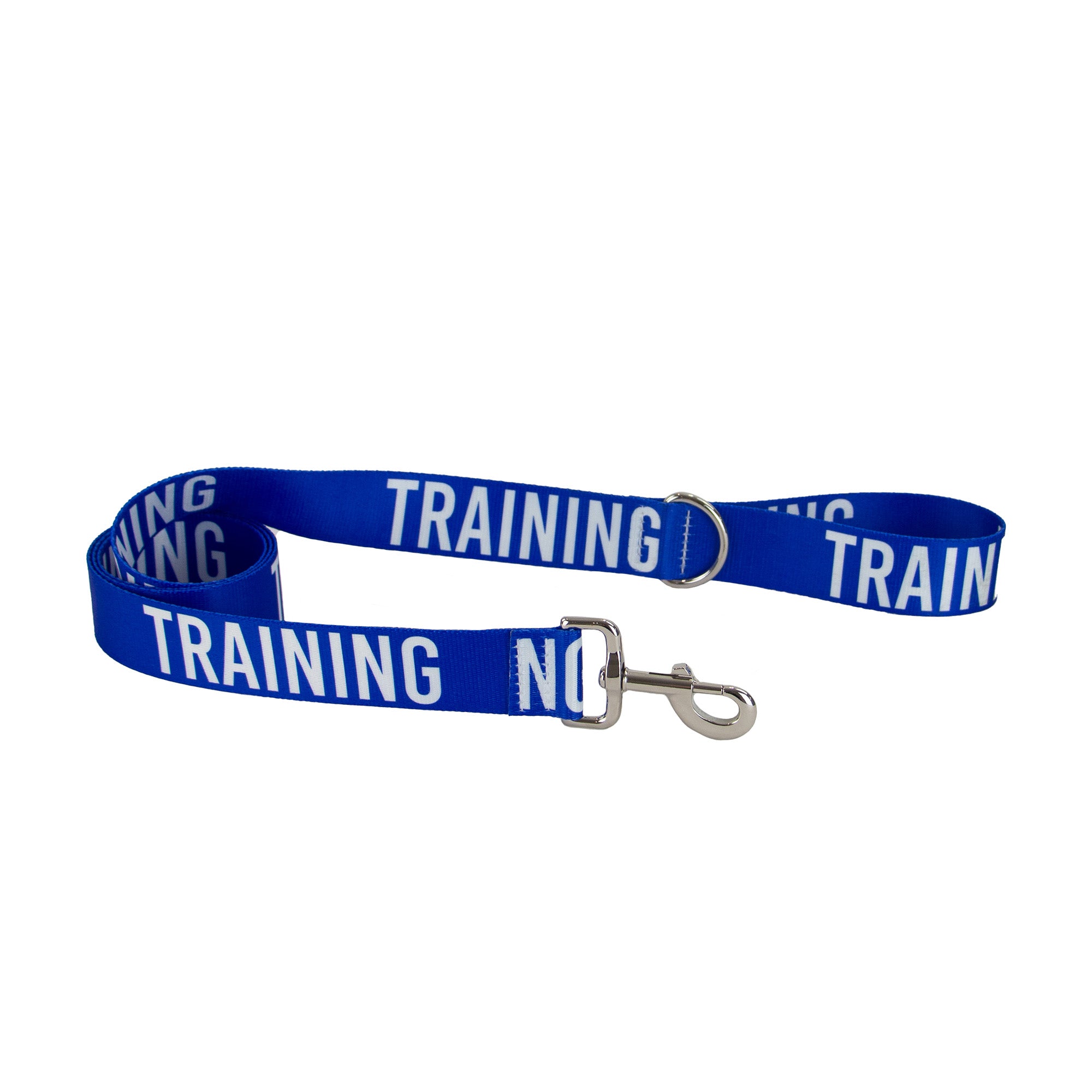 Blue Ancol awareness lead printed TRAINING, coiled with its trigger hook