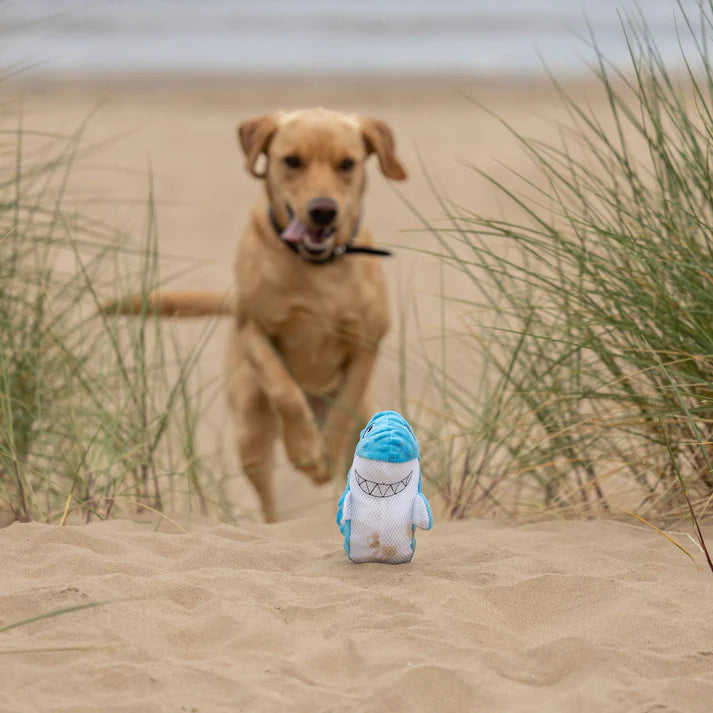 All For Paws Chill Out Shark - Cooling Summer Dog Toy