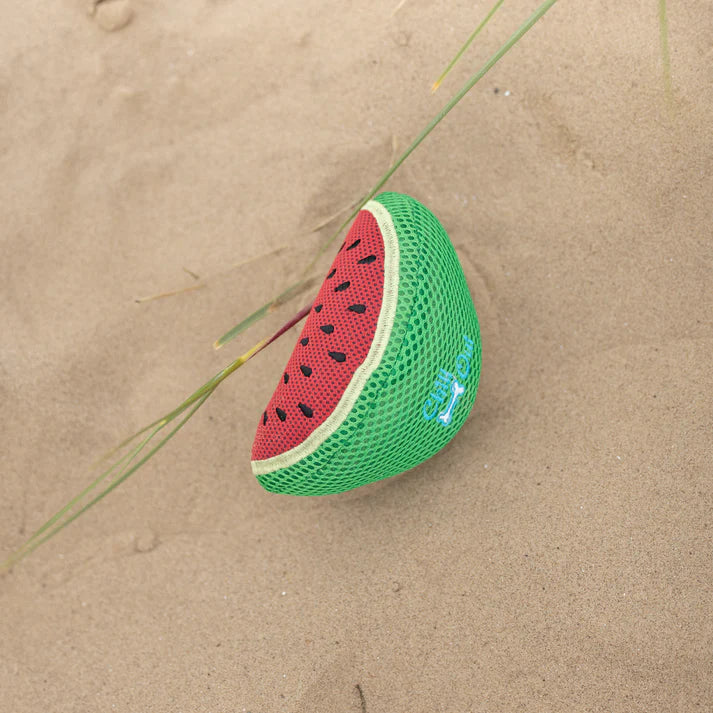 All For Paws Chill Out Watermelon Slice - Cooling Water-Soak Dog Toy