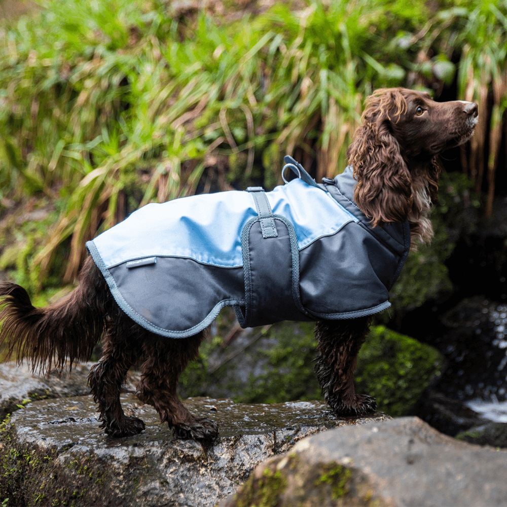 Henry Wag Waterproof Dog Coat – Extra Small, Blue, Fleece-Lined