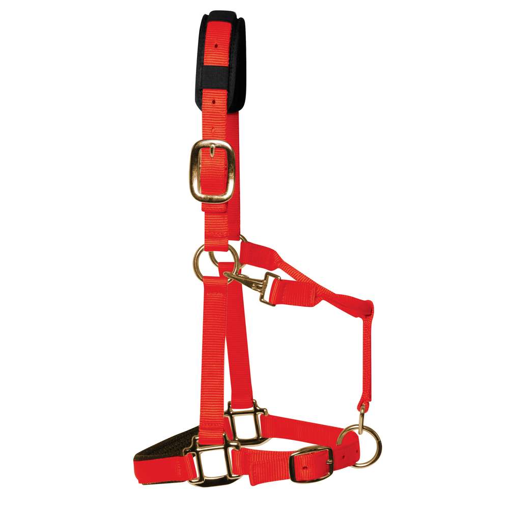 KM Elite Padded Headcollar – Red, Small (Large Pony) Nylon Pony Headcollar