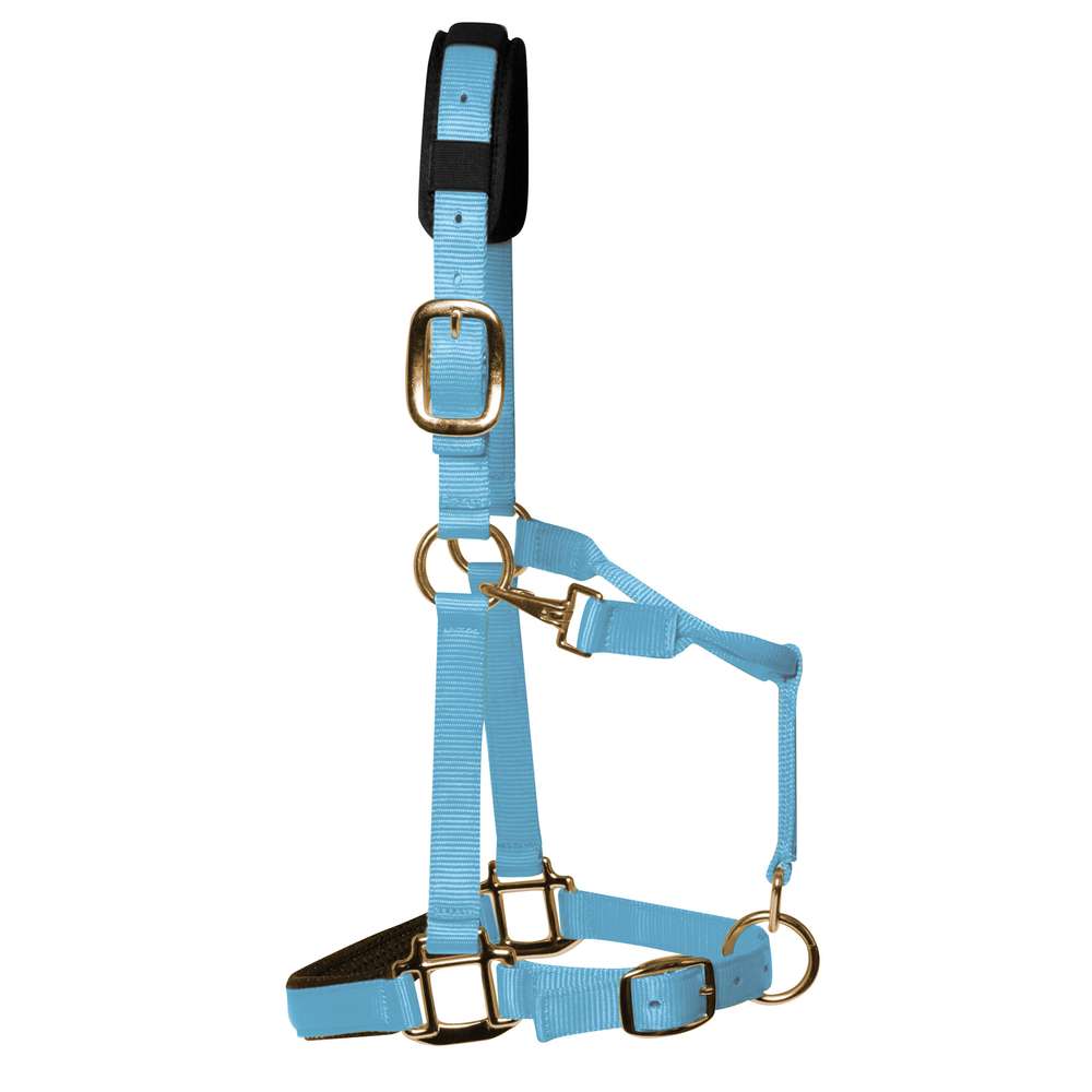 KM Elite Padded Headcollar – Baby Blue, Small (Large Pony) Nylon Pony Headcollar