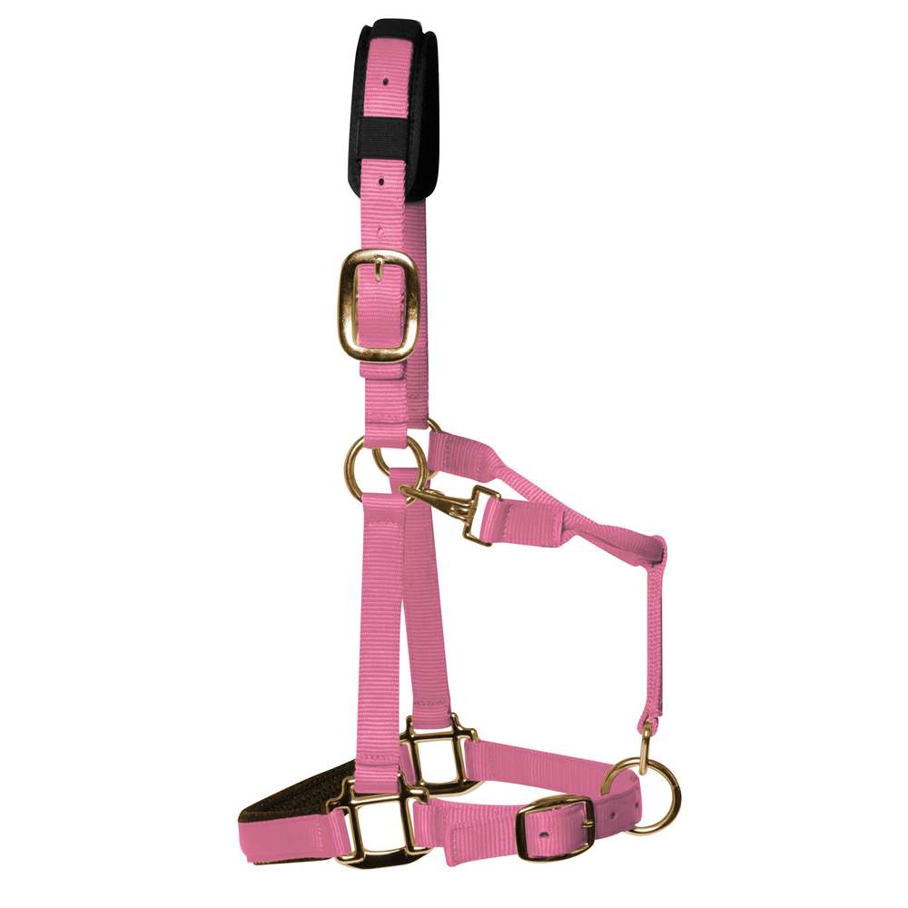 KM Elite Padded Headcollar – Baby Pink, Small (Large Pony) Nylon Pony Headcollar