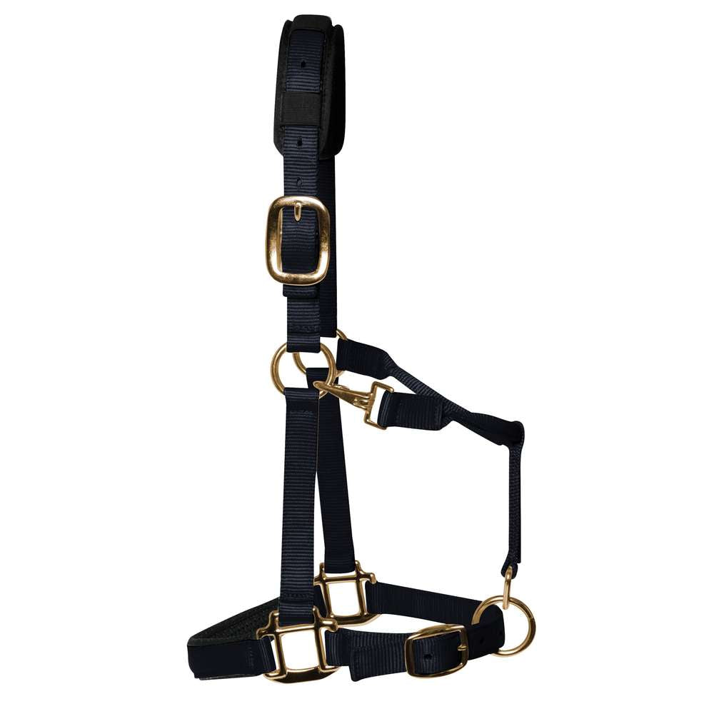 KM Elite Padded Headcollar in black with brass-colour fittings, cob size