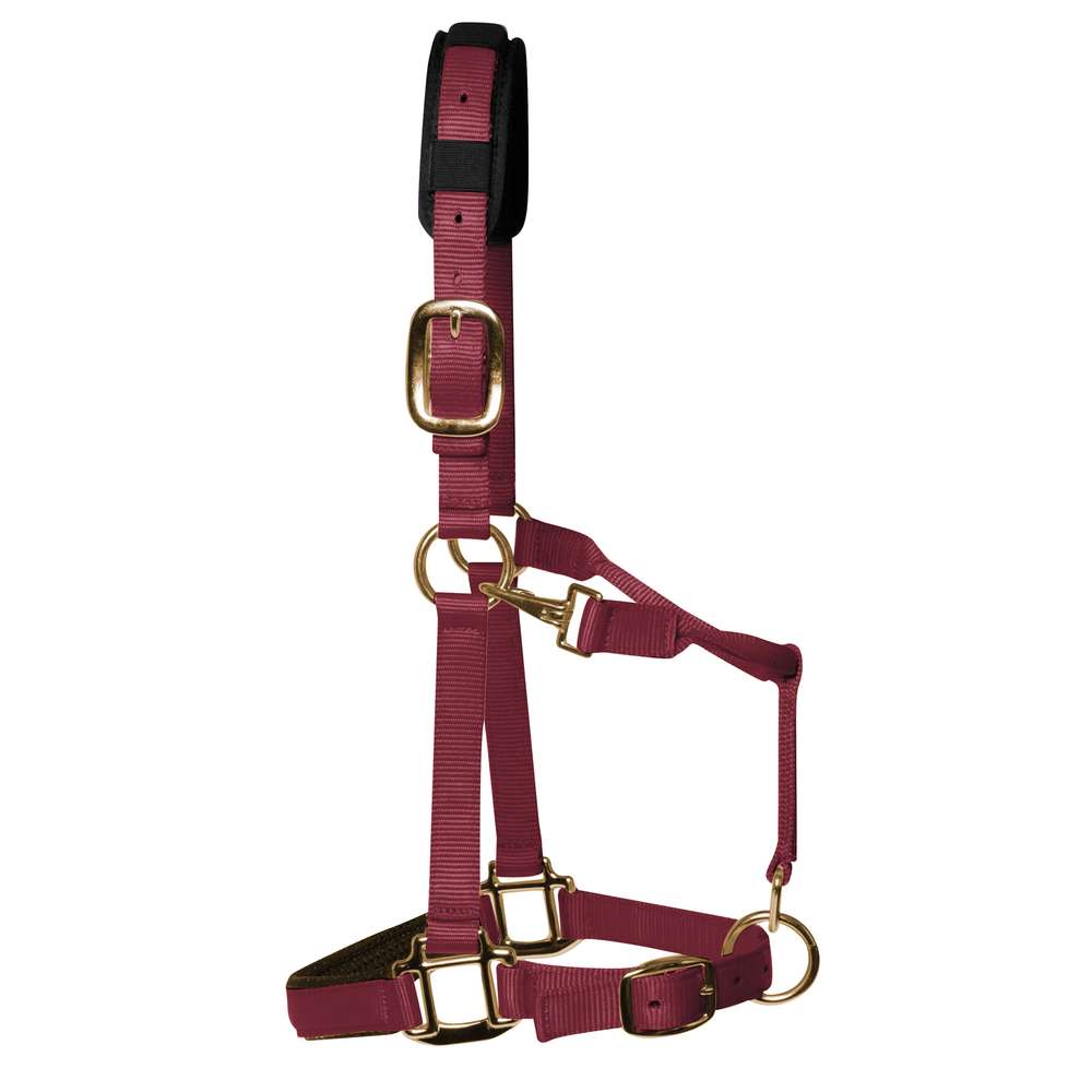 KM Elite Padded Headcollar – Burgundy, Medium (Cob) Nylon Cob Headcollar