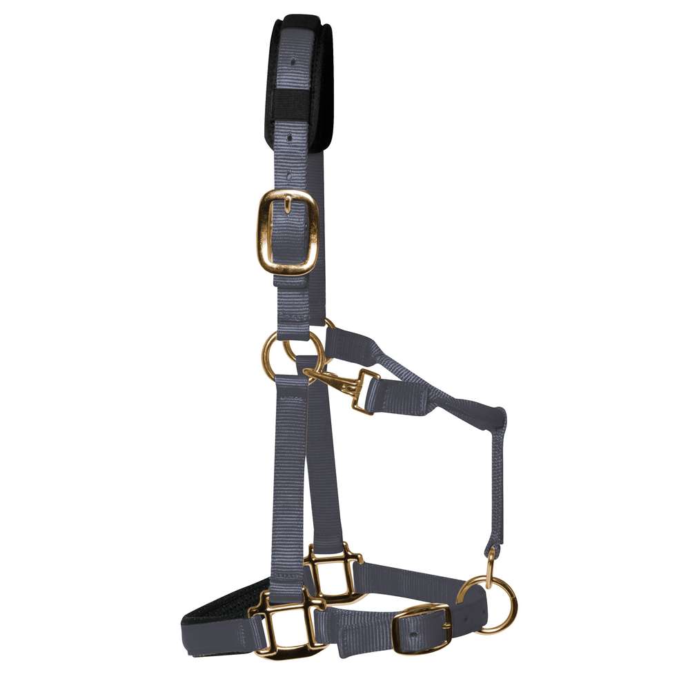 KM Elite Headcollar Grey - Small