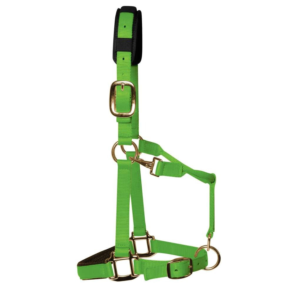 KM Elite Luxury Padded Headcollar Lime Green - Medium