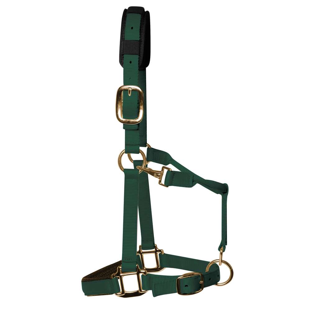 KM Elite Luxury Padded Head Collar Hunter Green- Medium