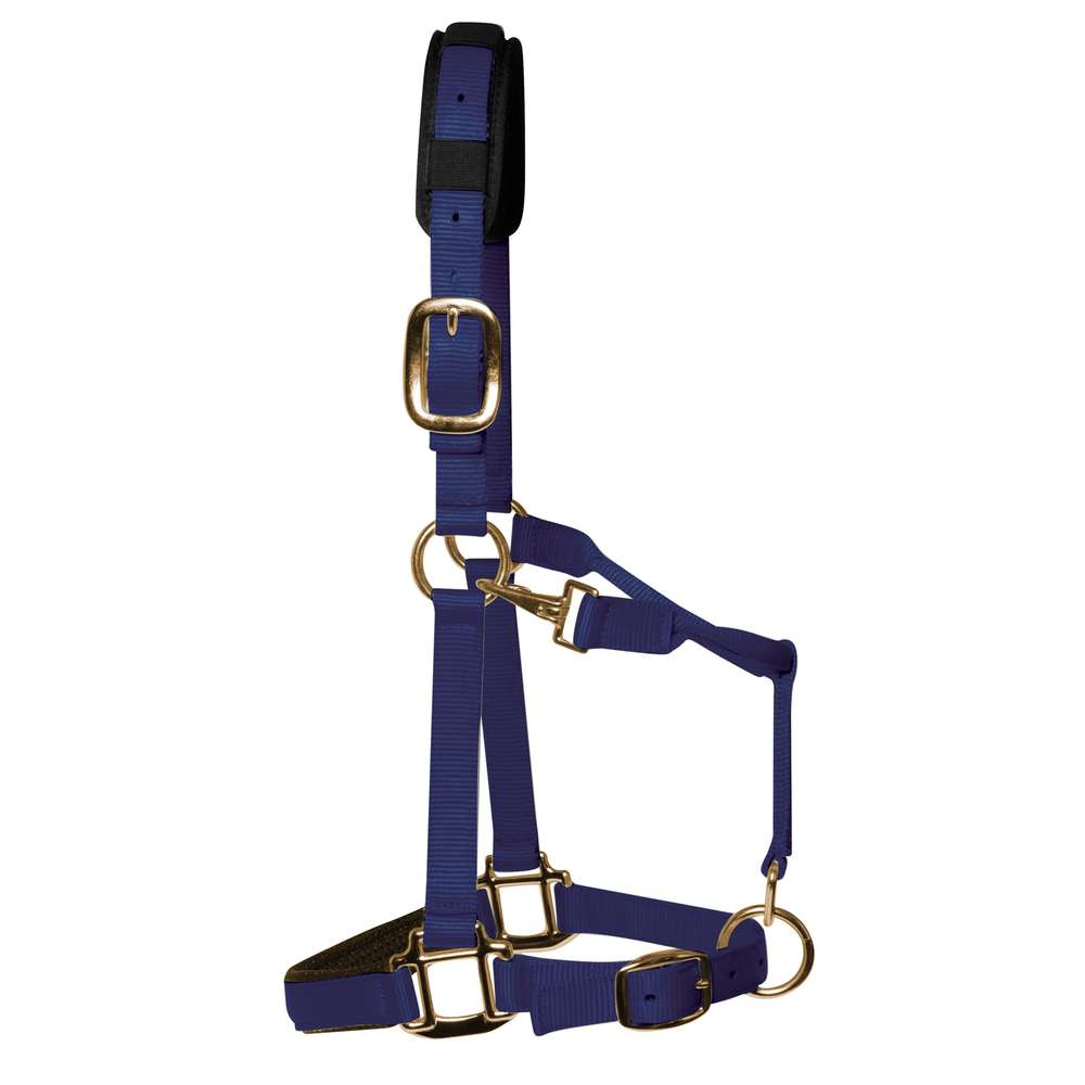KM Elite Headcollar Navy Blue - Small