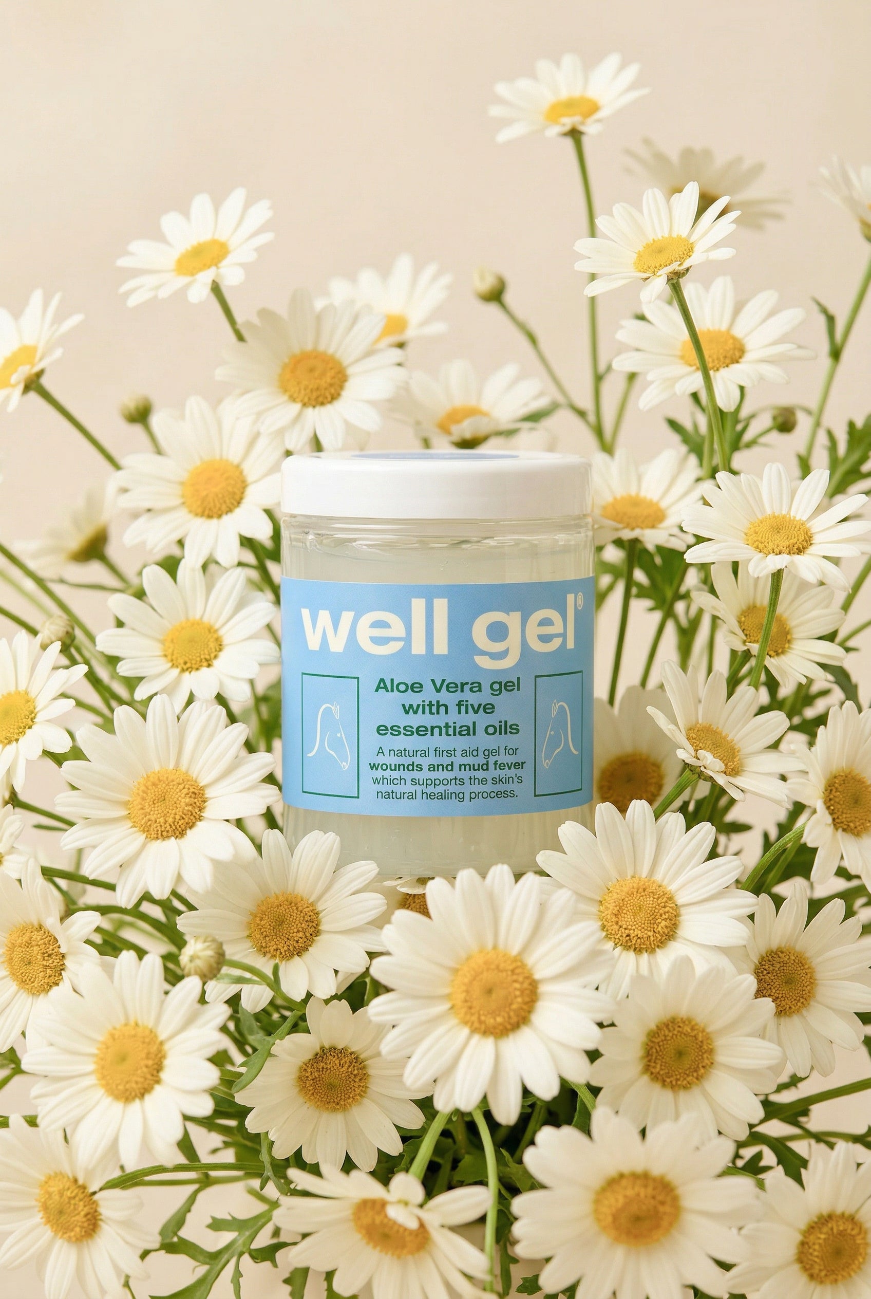 Well Gel Original aloe vera gel for horses pot