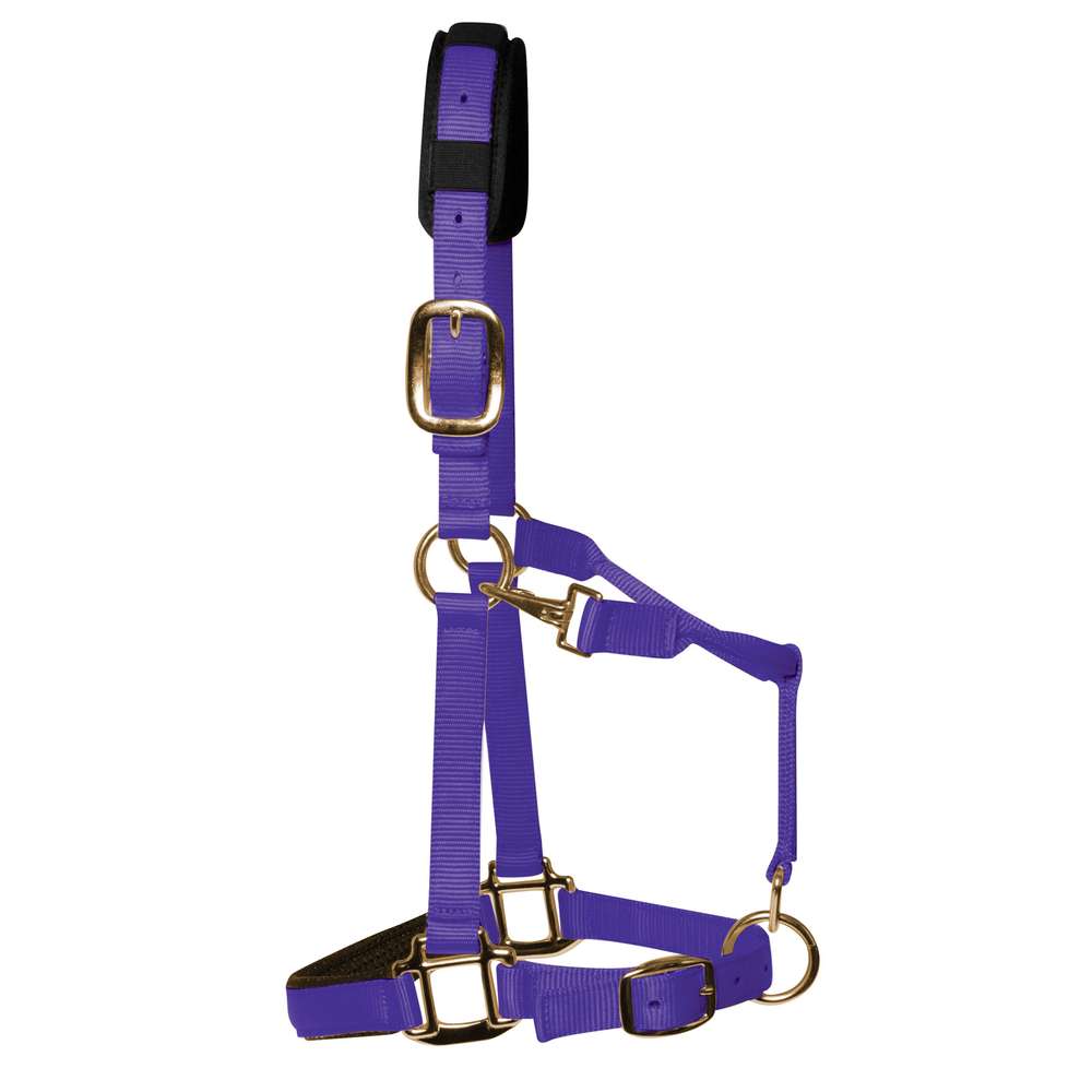 KM Elite Headcollar Purple Small