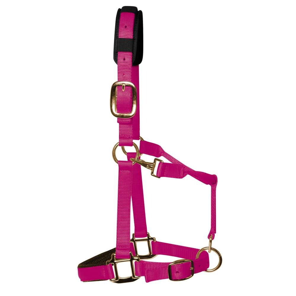 KM Elite Padded Headcollar – Raspberry, Large (Full) Nylon Horse Headcollar