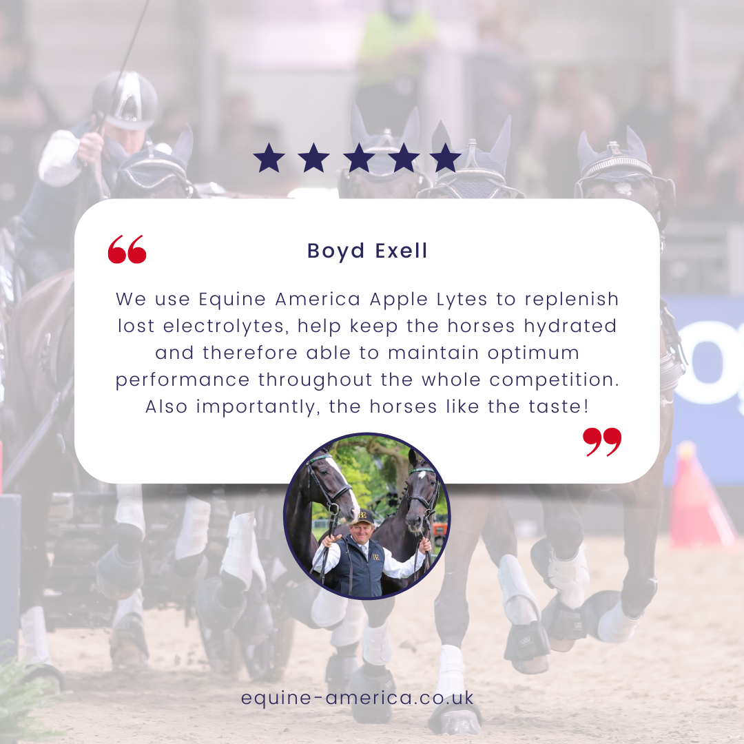 Equine America Apple Lytes 1L