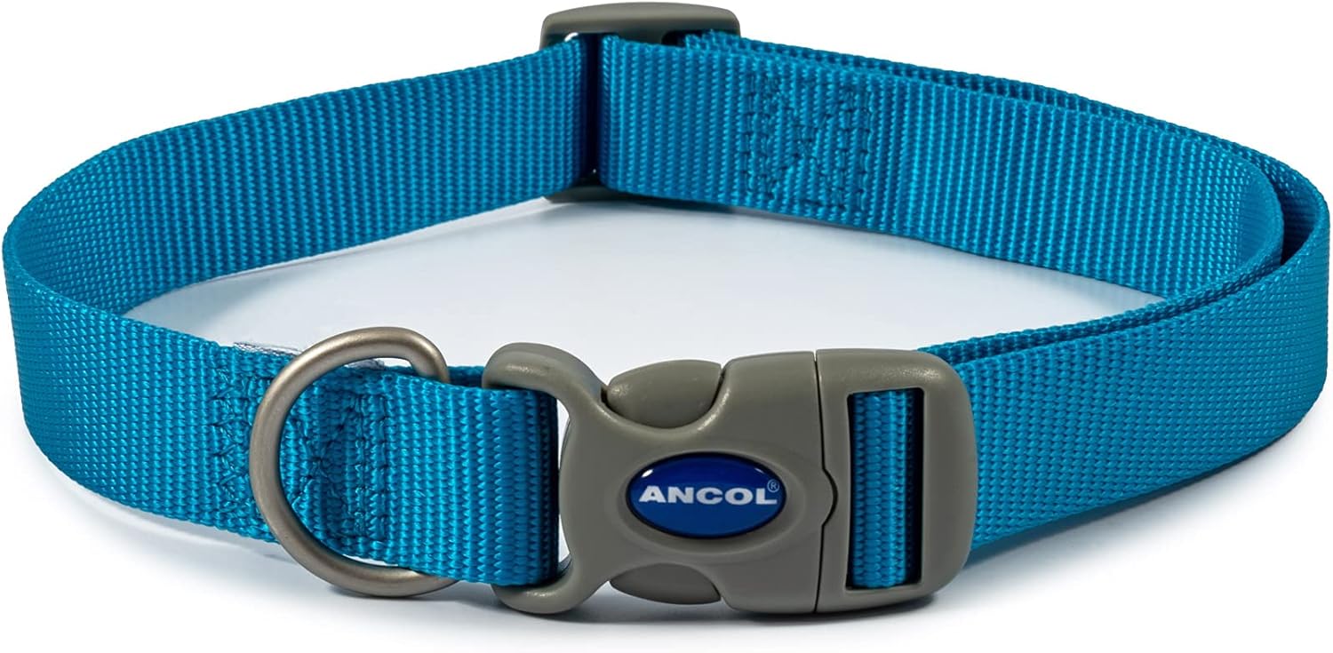 Ancol Viva Adjustable Dog Collar Blue 20-30cm Size 1-2