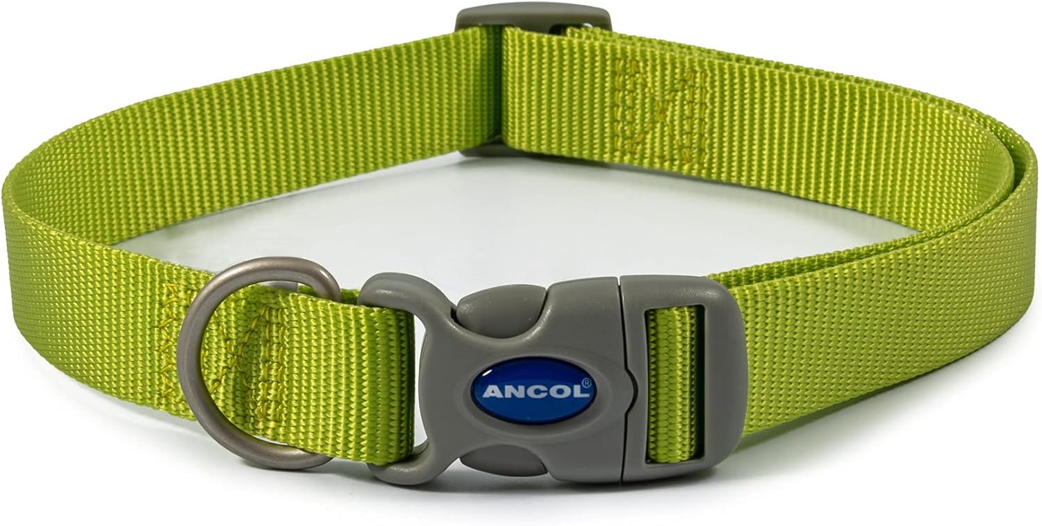 Ancol Viva Adjustable Dog Collar Lime 20-30cm Size 1-2