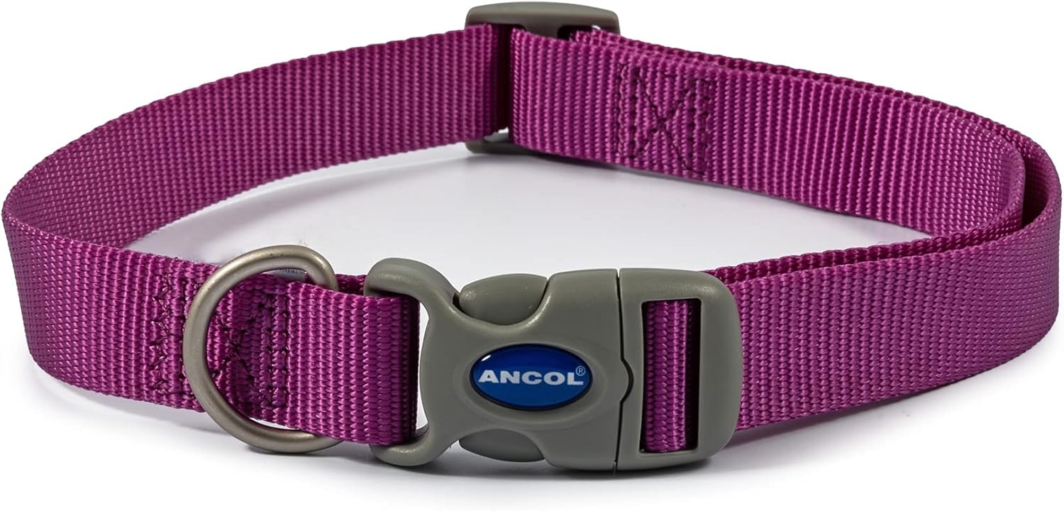 Ancol Viva Adjustable Dog Collar Purple 30-50cm Size 2-5
