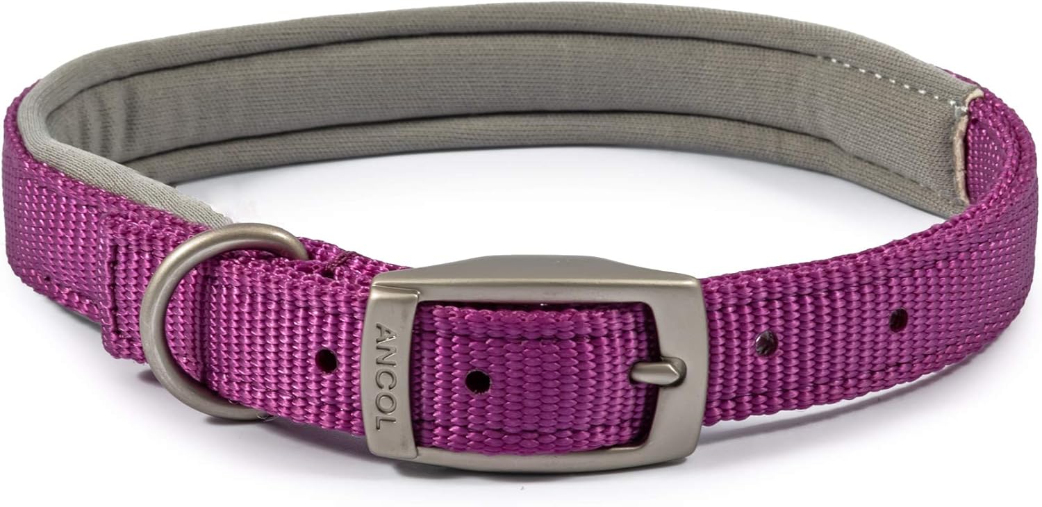 Ancol Viva Padded Dog Collar Purple 39–48cm Size 5