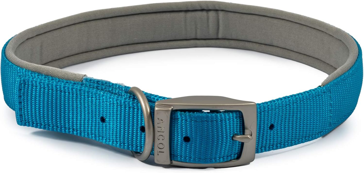 Ancol Viva Padded Dog Collar Blue 35-43cm Size 4