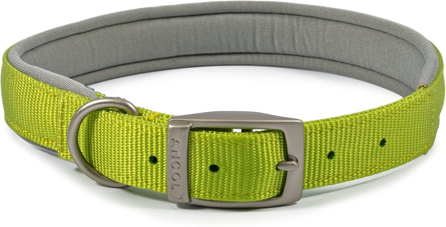 Ancol Viva Padded Dog Collar Lime Size 4 35-43cm – Soft Adjustable Everyday Dog Collar