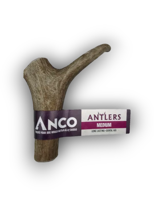 Anco Antlers Medium Natural Dog Chew