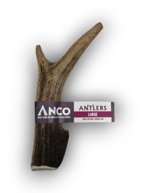 Anco Antlers Large Natural Dog Chew