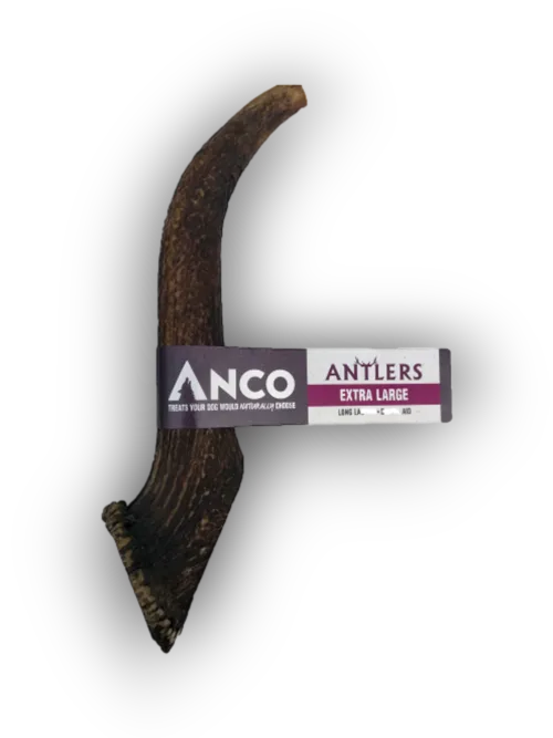 Anco Antlers Extra Large Natural Dog Chew