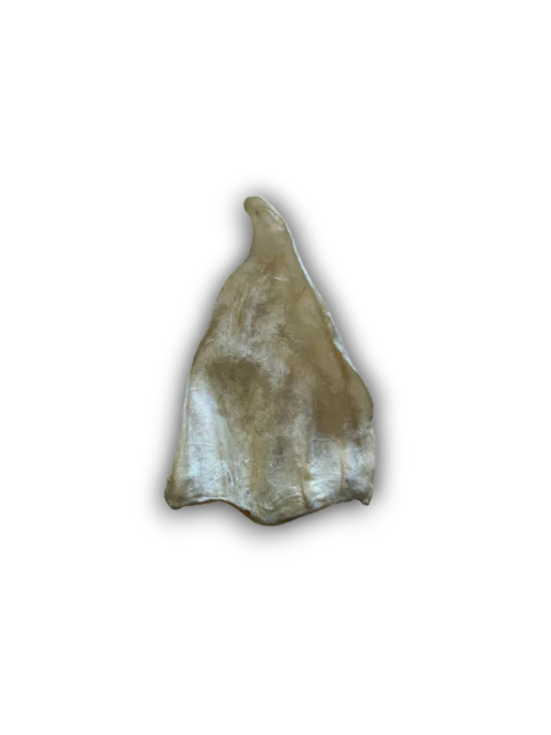 Anco Cow Ears Natural Dog Chew