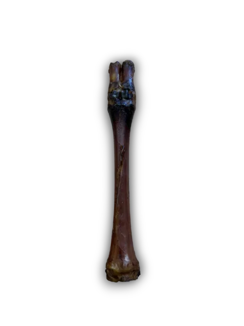 Anco Red Deer Leg Natural Dog Chew