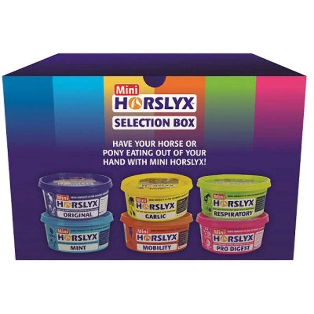 Horslyx Rainbow Mixed Mini – 6 x 650g Gift Box treat for horses and ponies