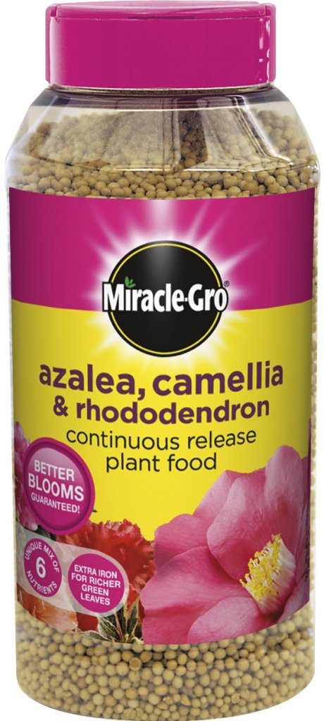Miracle-Gro Azalea, Camellia and Rhododendron continuous release plant food, 1kg shaker jar