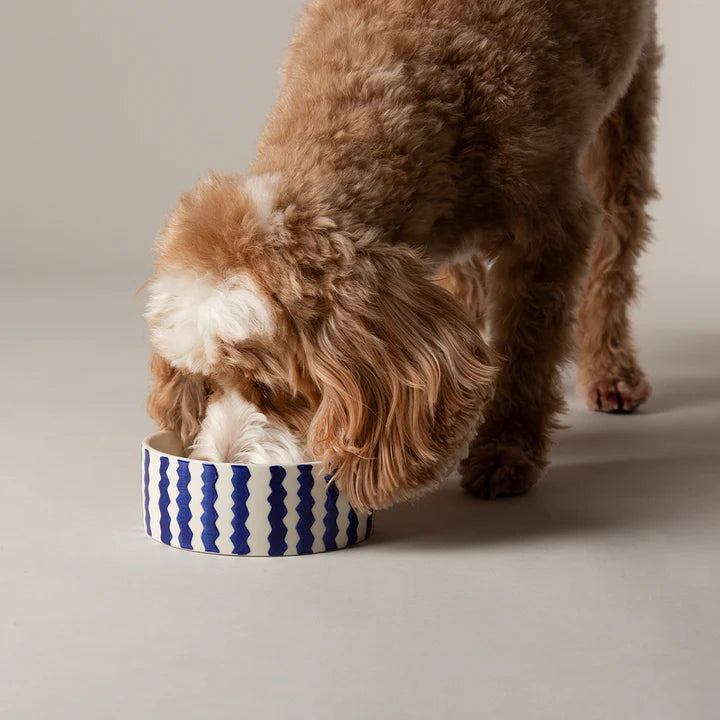 Scruffs Blue Zigzag Food Bowl – 13cm