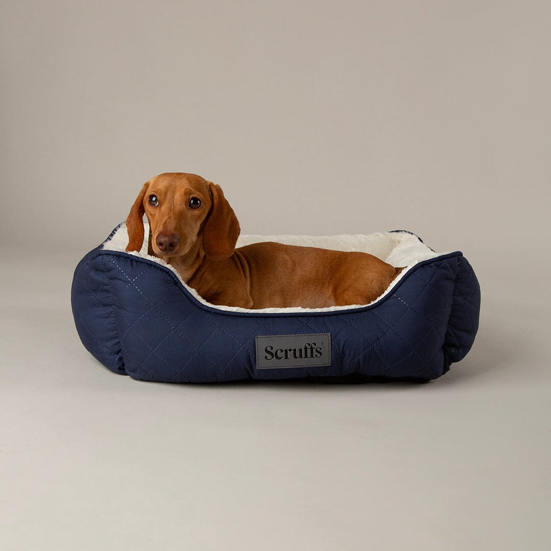 Scruffs Wilton Box Bed – Blue, Large 75 x 60cm