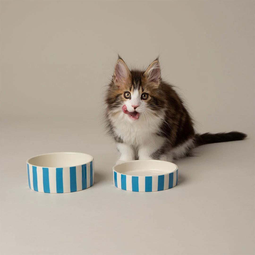 Scruffs Amalfi Stripe Cat Saucer 13cm Blue - Low Profile Whisker-Friendly Cat Bowl