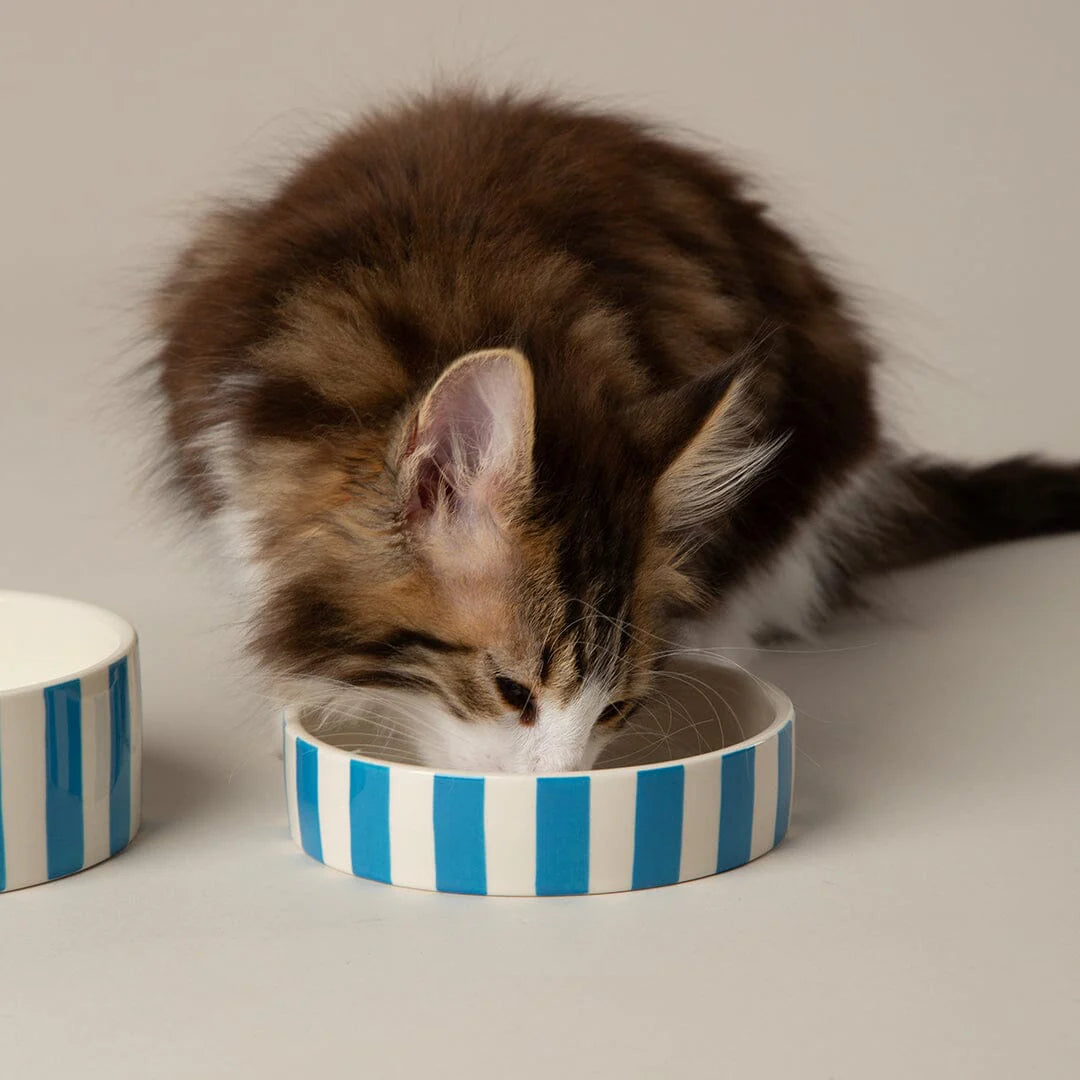Scruffs Amalfi Stripe Cat Saucer 13cm Blue - Low Profile Whisker-Friendly Cat Bowl