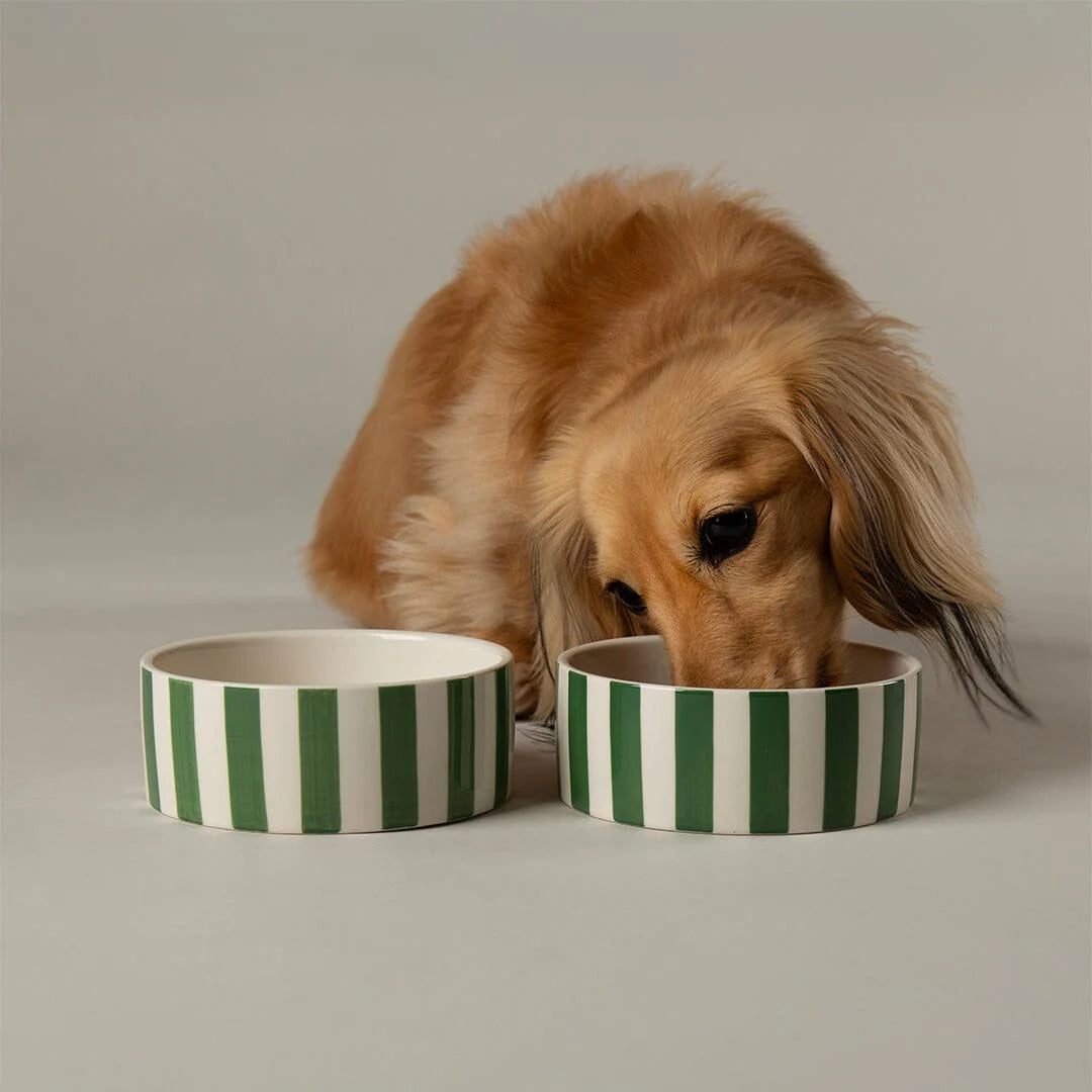 Scruffs Amalfi Stripe Food Bowl 19cm Green - Stylish Ceramic Dog Bowl