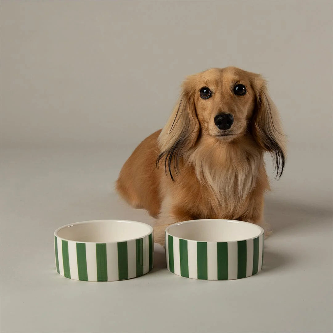 Scruffs Amalfi Stripe Food Bowl 19cm Green - Stylish Ceramic Dog Bowl