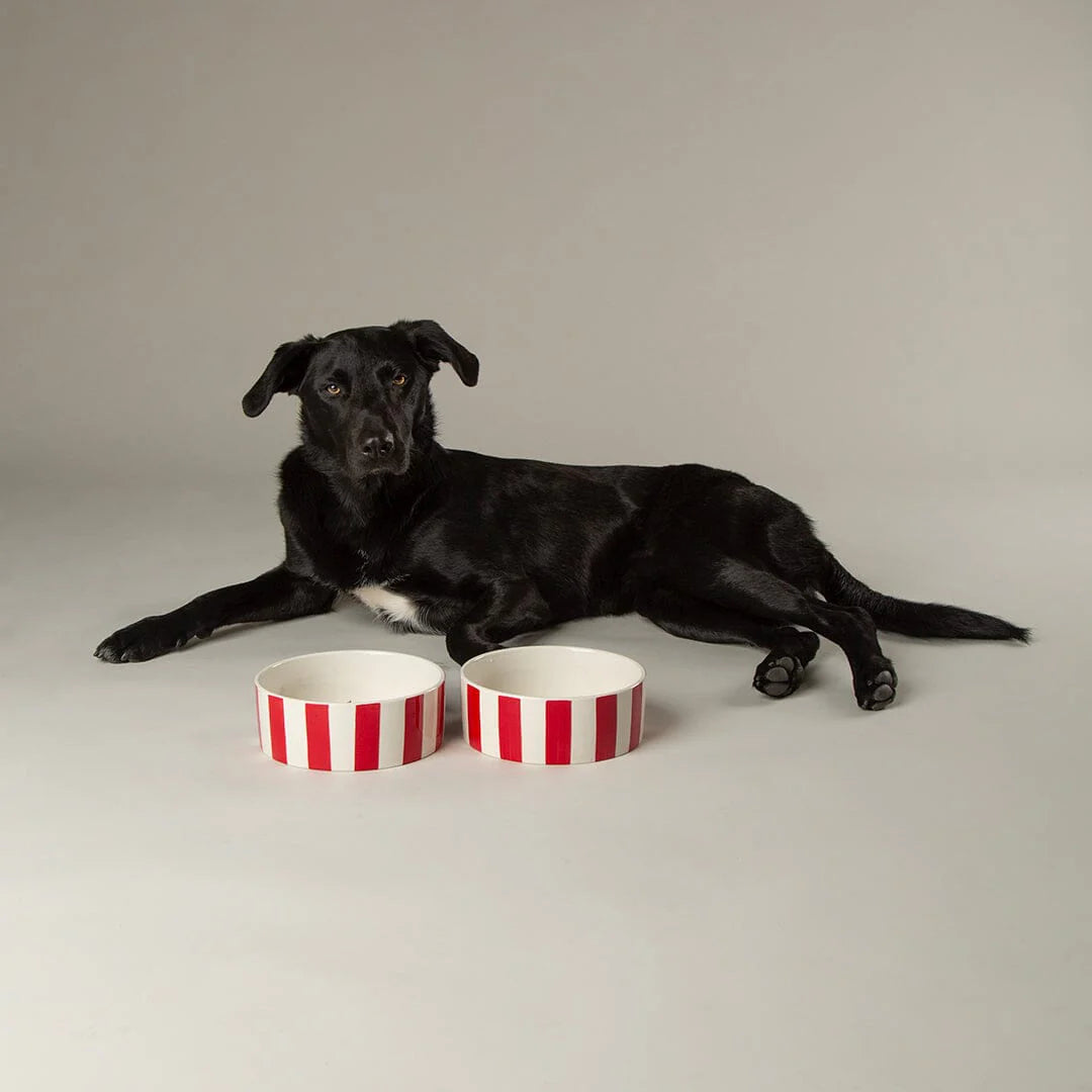 Scruffs Amalfi Stripe Food Bowl 15cm Red - Stoneware Ceramic Dog Bowl