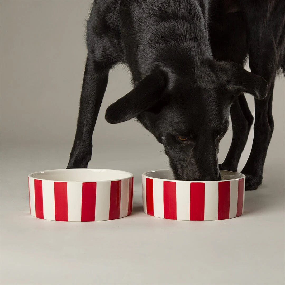 Scruffs Amalfi Stripe Food Bowl 13cm Red - Stoneware Ceramic Dog Bowl