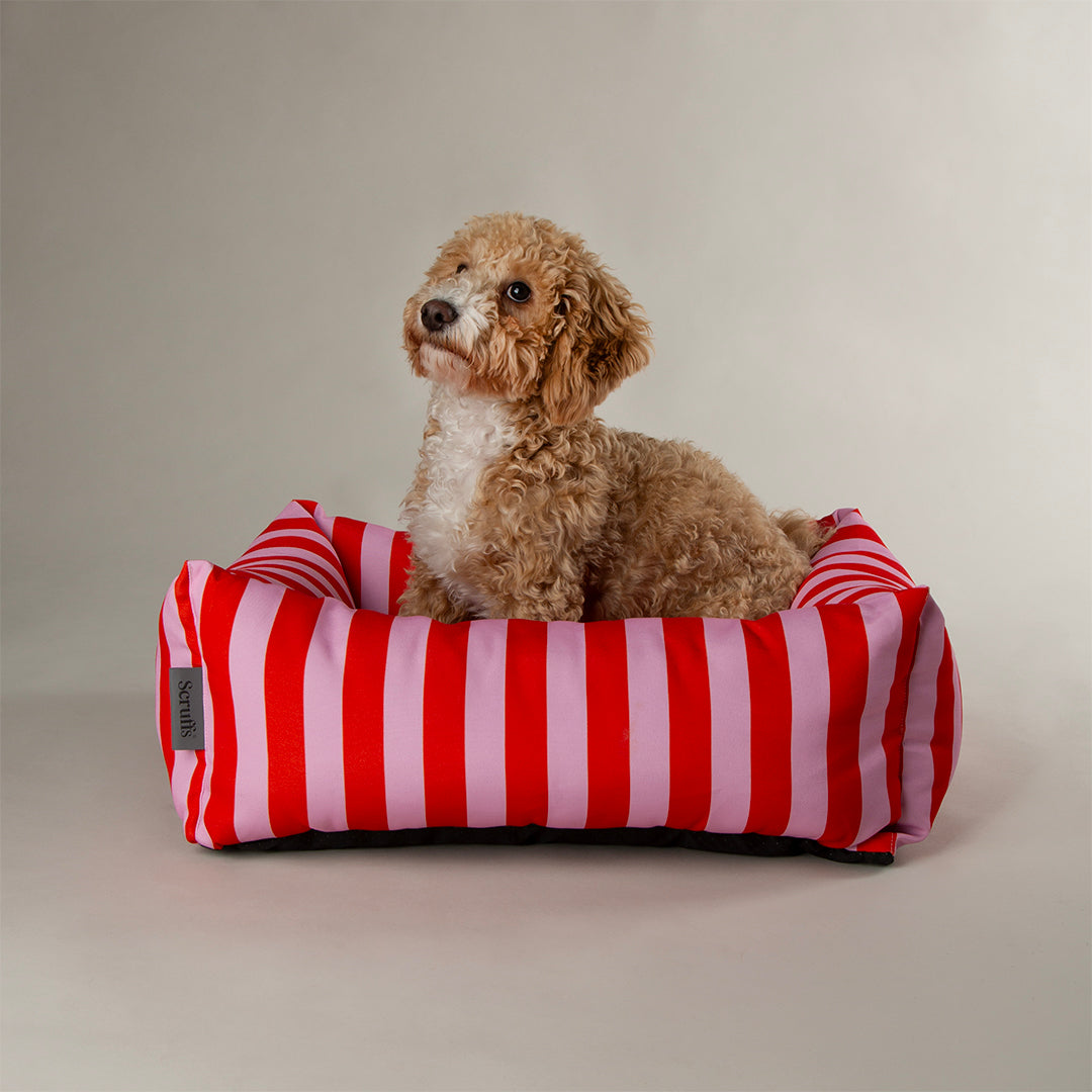 Scruffs Amalfi Box Bed Extra Large Pink Stripe 90 x 70 x 22 cm