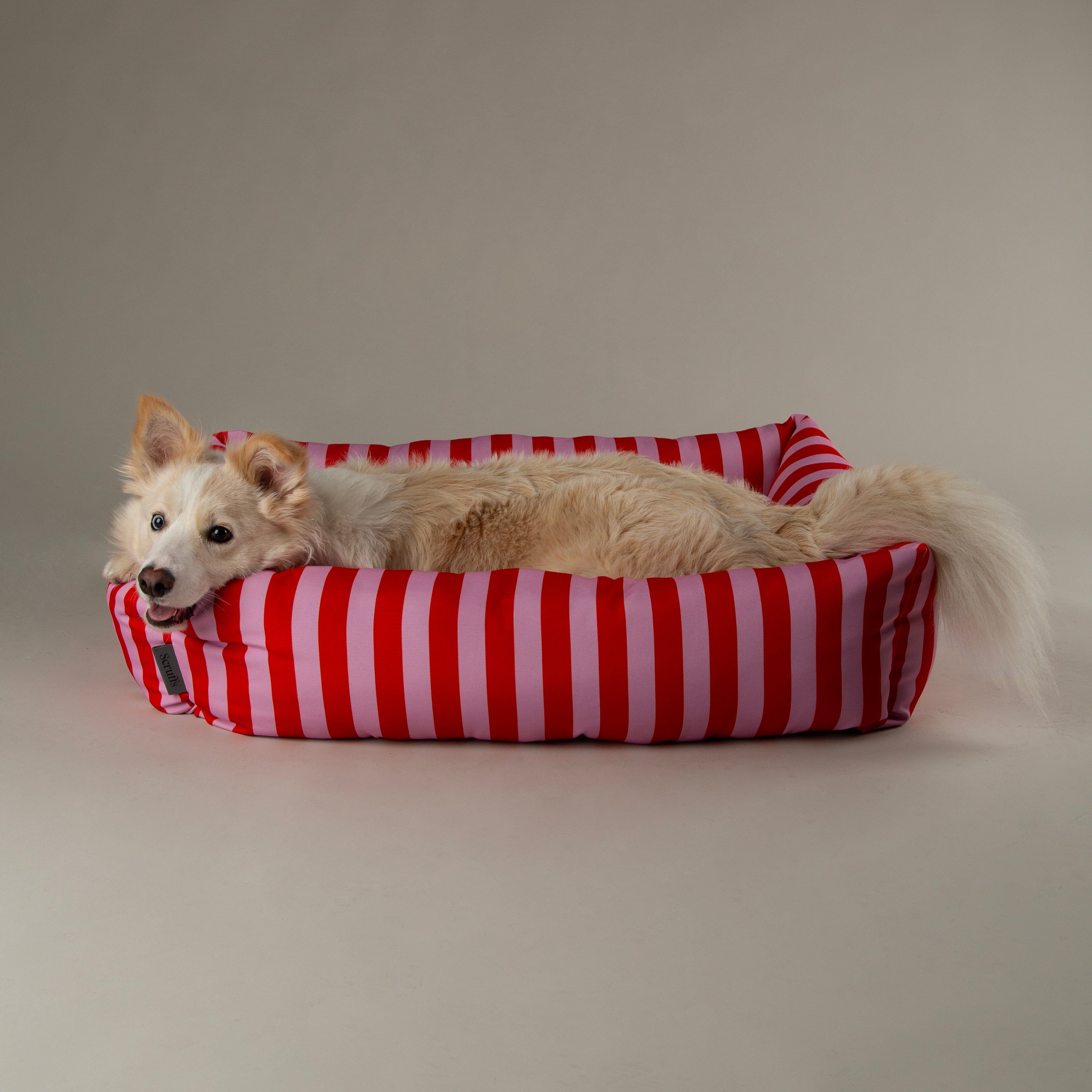 Scruffs Amalfi Box Bed – Pink Stripe, Extra Large 90 x 70cm