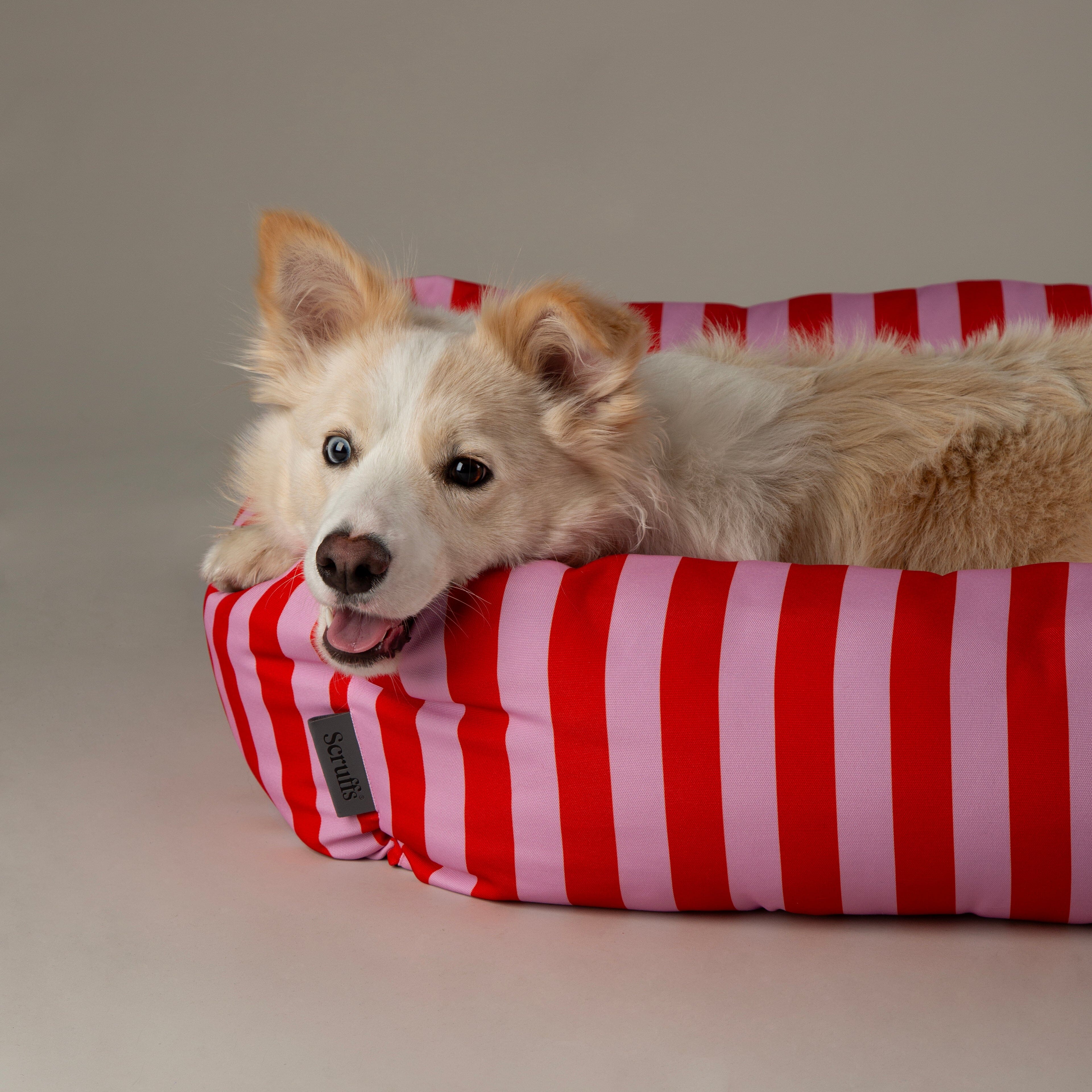 Scruffs Amalfi Box Bed – Pink Stripe, Extra Large 90 x 70cm