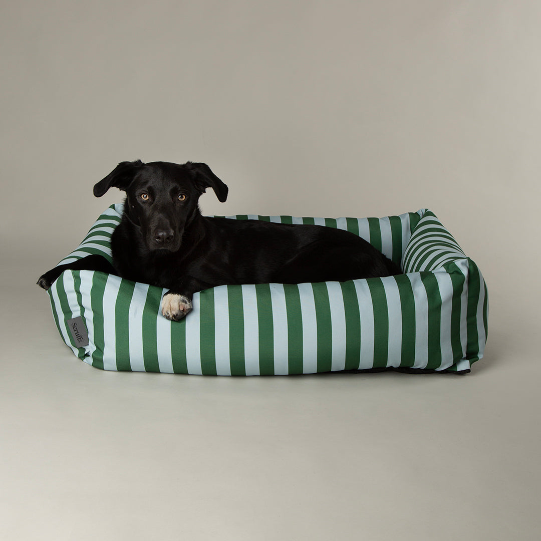 Scruffs Amalfi Box Bed Medium Green Stripe 60 x 50 x 18 cm