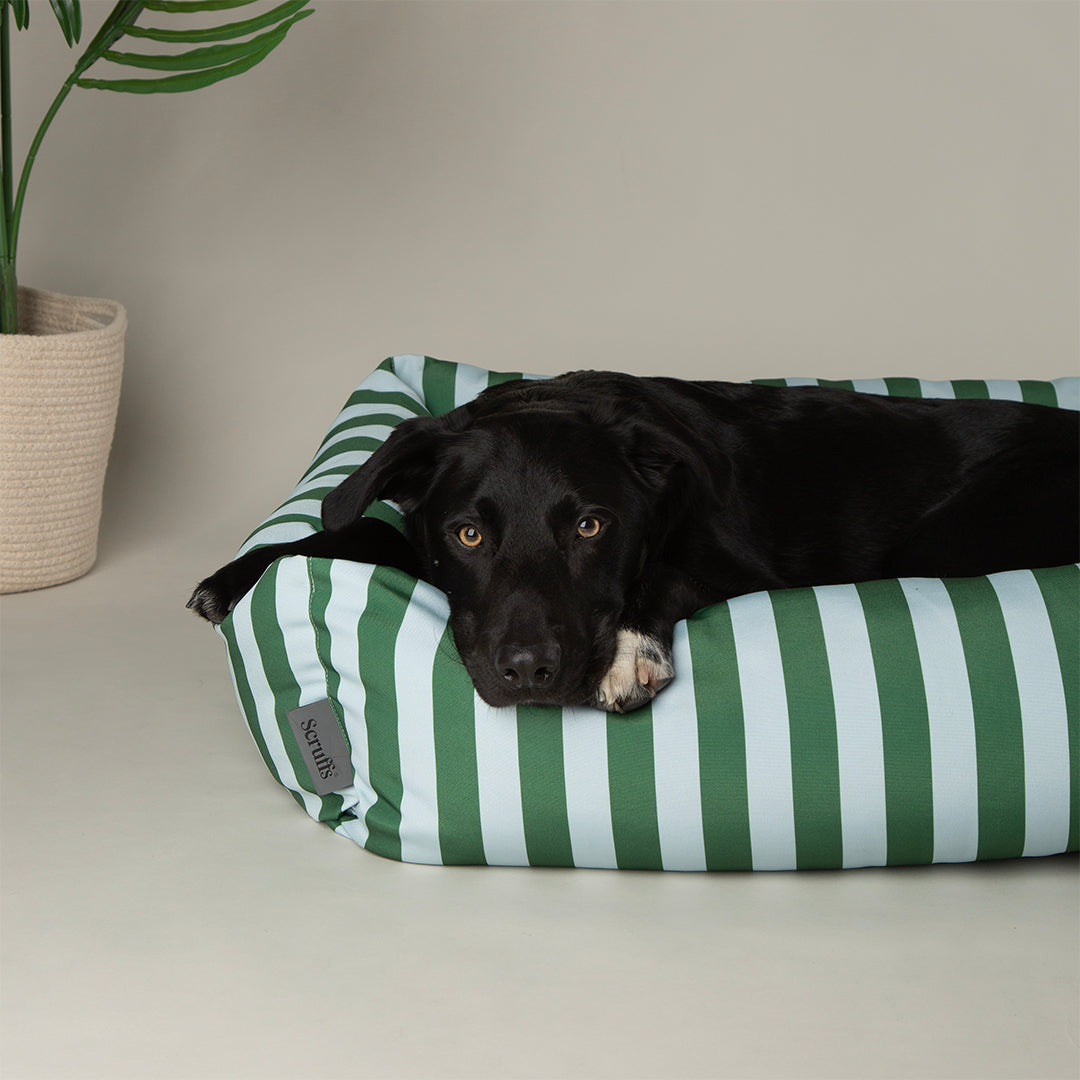Scruffs Amalfi Box Bed Medium Green Stripe 60 x 50 x 18 cm