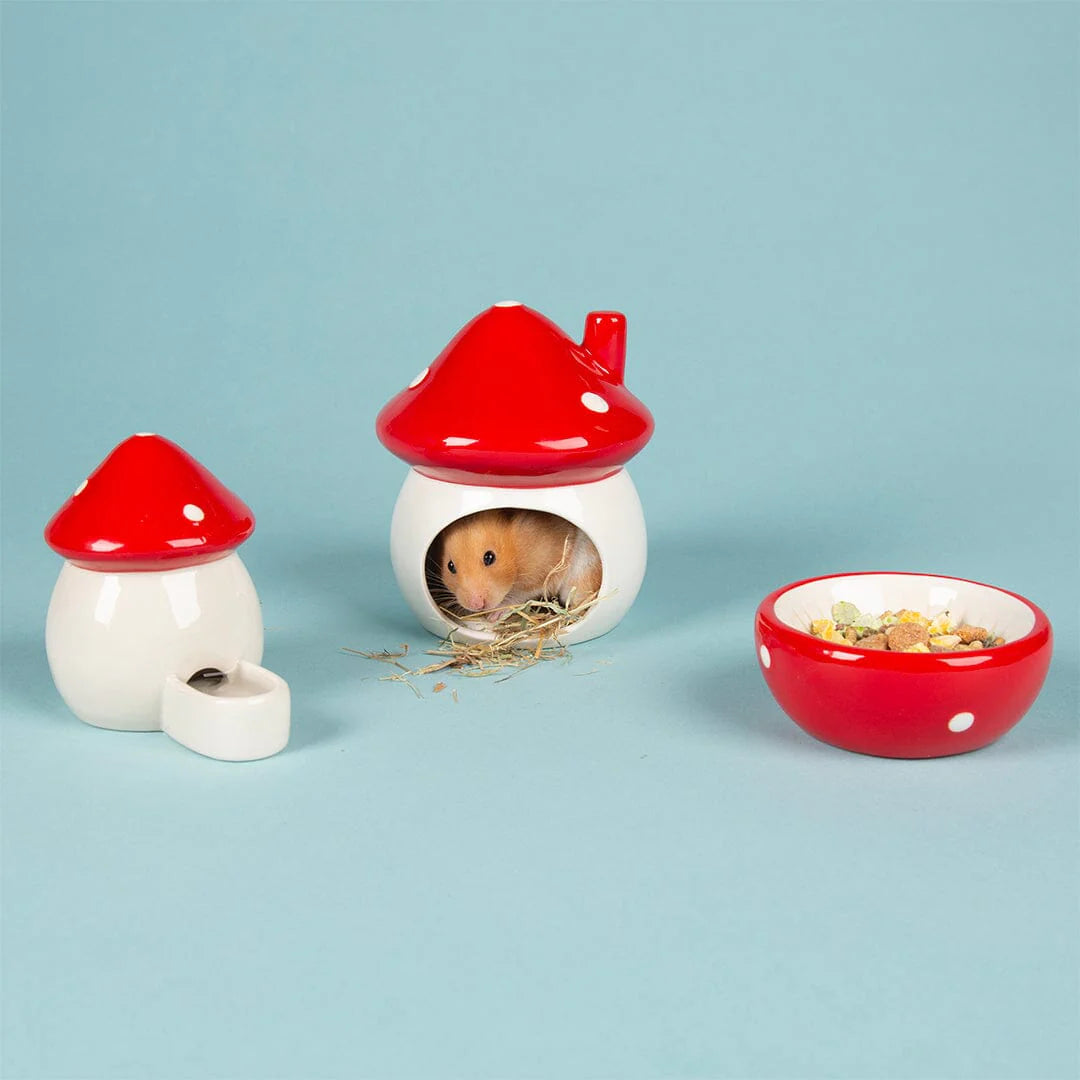 Small Animal House Gift Set – Toadstool Mushroom Food & Water Bowls for Hamsters & Gerbils
