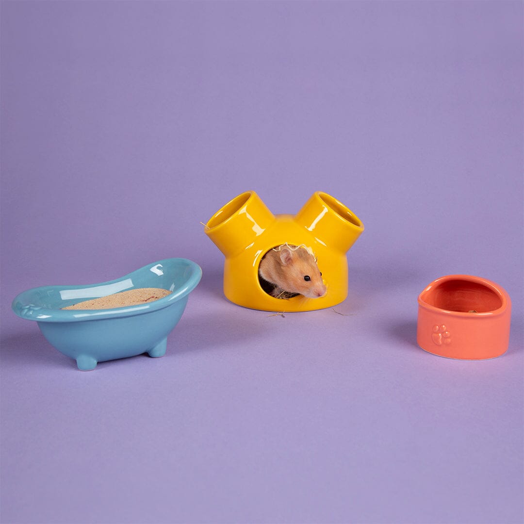Scruffs Small Pet Colours Ceramic Set – House, Sand Bath & Food Bowl for Hamsters & Gerbils