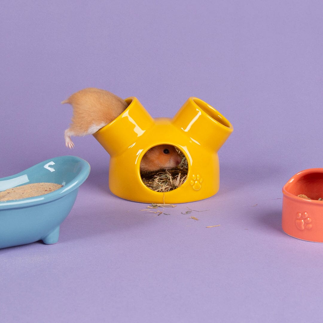 Scruffs Small Pet Colours Ceramic Set – House, Sand Bath & Food Bowl for Hamsters & Gerbils