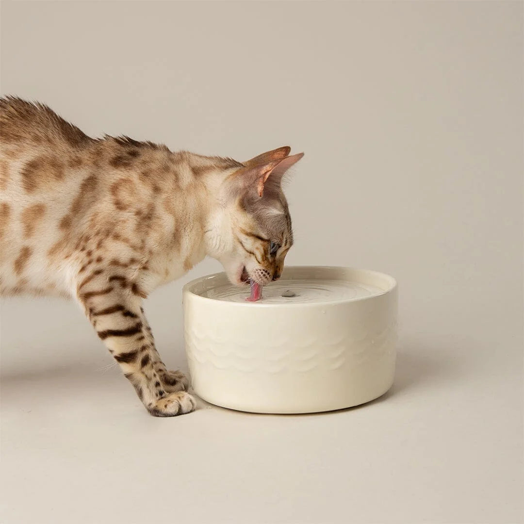 Scruffs 20cm Icon Cat Water Fountain Cream 1.5L