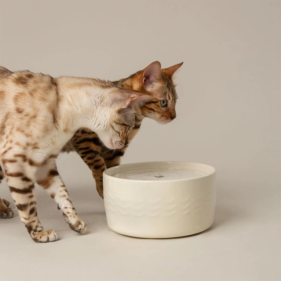 Scruffs 20cm Icon Cat Water Fountain Cream 1.5L